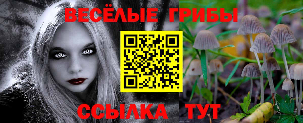 Усинск  сколько стоит  Вход с VPN  Галлюциногенные грибы Magic Shrooms 